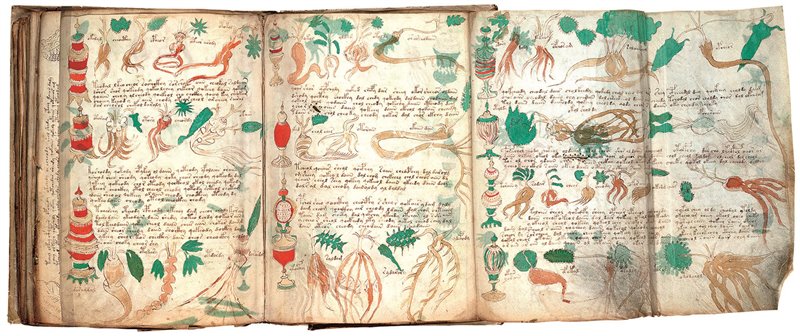 Il misterioso ed affascinante manoscritto Voynich